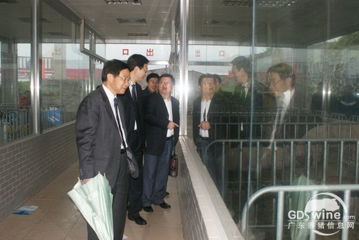 省农业厅党组成员、巡视员陈福林，农业部畜牧业司巡视员陈伟生等相关领导参观了博览会