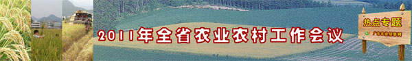 2011年广东户外直播